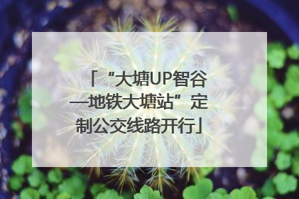 “大塘UP智谷—地铁大塘站”定制公交线路开行